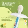 Baby Training Toothbrush Set with Anti-Choking Shield - 3 Pcs