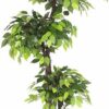 6 FT Ficus Artificial Plant with Basic Pot - Perfect Home Decor