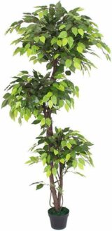 6 FT Ficus Artificial Plant with Basic Pot - Perfect Home Decor
