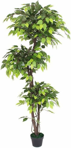 6 FT Ficus Artificial Plant with Basic Pot - Perfect Home Decor