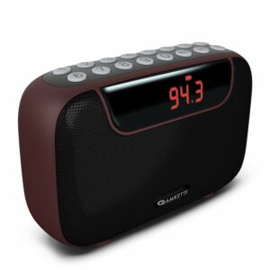 5 in 1 Portable FM Radio with Bluetooth, MP3 Player & Recording