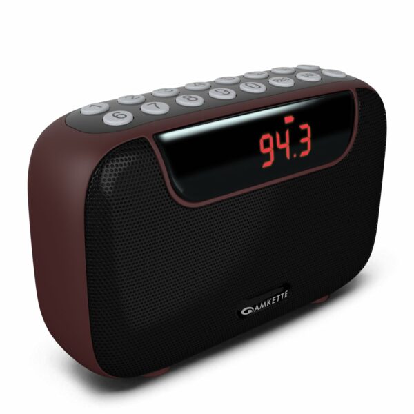 5 in 1 Portable FM Radio with Bluetooth, MP3 Player & Recording