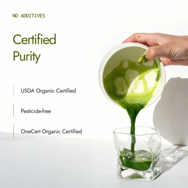 Organic Moringa Powder 200g - Natural Energy & Nutrients - Image 6
