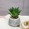 Small Ceramic Miniature Artificial Flower for Home & Office D?cor
