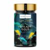 Shilajit Gold 60 Capsules | Boost Stamina & Muscle Growth