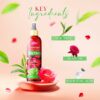 Gulabari Rose Oil & Tea Tree Face Toner Mist - 100ml