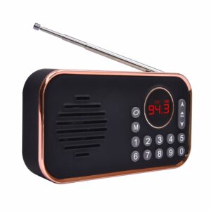 Portable FM Radio with Bluetooth and Rechargeable Battery