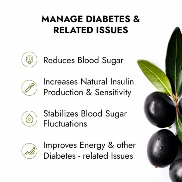 Ayurvedic Dia Free Juice 1L - Blood Sugar Support Pack of 2 - Image 3