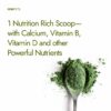 Organic Moringa Powder 200g - Natural Energy & Nutrients