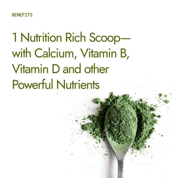Organic Moringa Powder 200g - Natural Energy & Nutrients - Image 5