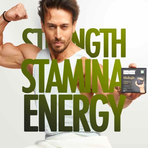 Himalayan Shilajit Resin 20g - Natural Energy & Vitality Booster - Image 2