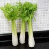 Lifelike Artificial Celery Decoration - 10.2" PVC