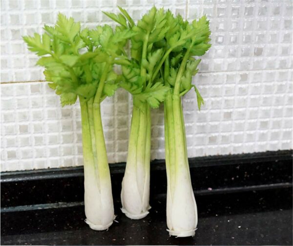 Lifelike Artificial Celery Decoration - 10.2" PVC - Image 3