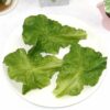 6pcs Artificial Green Lettuce Leaves - PVC Simulation Food