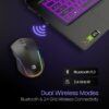 Toad One Bluetooth Mouse - Dual Wireless, Ergonomic, RGB Lights