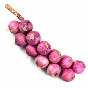 Artificial Onion for Home Decor - 470mm Foam Vegetable