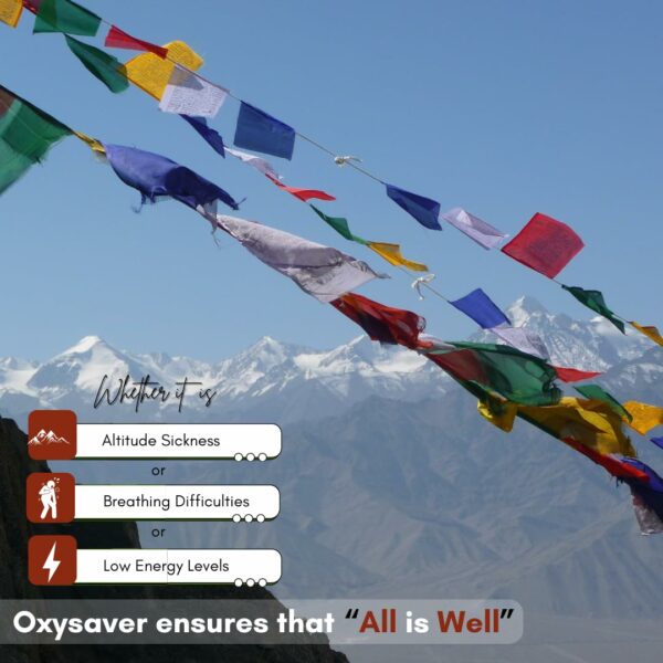 Portable 12L Oxygen Cylinder - 250 Pumps for Emergencies - Image 2