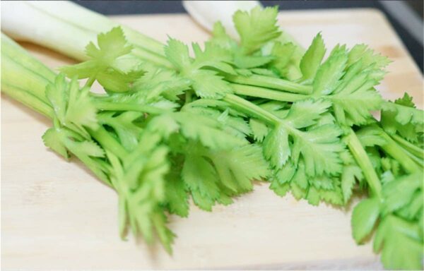 Lifelike Artificial Celery Decoration - 10.2" PVC - Image 4