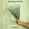 Realistic Artificial Eucalyptus Leaves for Home Decor - 18 Stems