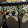 Expandable Artificial Grass Fence for Home & Garden Decor