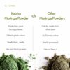 Organic Moringa Powder 200g - Natural Energy & Nutrients