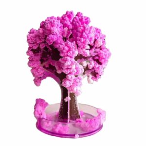 Sakura Magic Trees - Japanese Miniature Cherry Blossom Kit