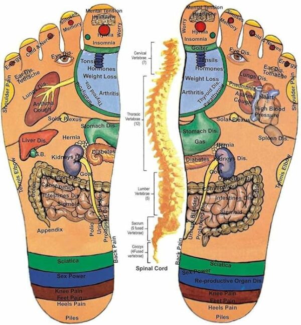 Acupressure Magnetic Therapy Slippers for Blood Circulation - Unisex - Image 3