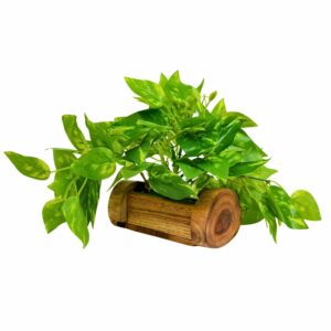 Artificial Money Plant with Woodlog Pot - 18 cm - Home & Office D?cor
