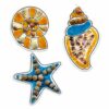 DIY Seashell Fridge Magnets Kit for Kids 8+ | Art & Craft Activity
