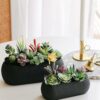 Pack of 6 Artificial Succulent Plants for Home Decor - Multi Size