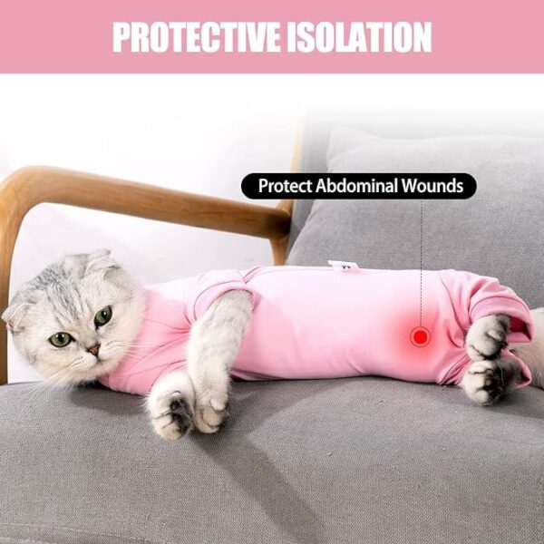 Cat Recovery Suit for Male & Female, Size L, Pink - Image 3