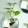 Wall Mount Fish Bowl 9 Inch Acrylic with Free Color Stones