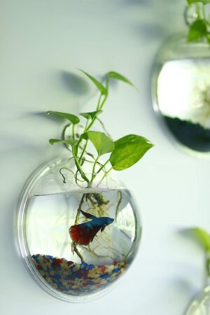 Wall Mount Fish Bowl 9 Inch Acrylic with Free Color Stones