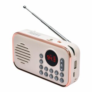 Portable FM Radio with Bluetooth, USB, TF & Type C Charging