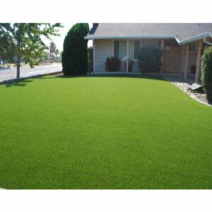 High Density Artificial Grass Carpet for Indoor & Outdoor Use - 5x8 Feet