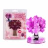 Sakura Magic Trees - Japanese Miniature Cherry Blossom Kit
