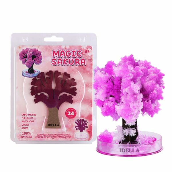 Sakura Magic Trees - Japanese Miniature Cherry Blossom Kit - Image 2