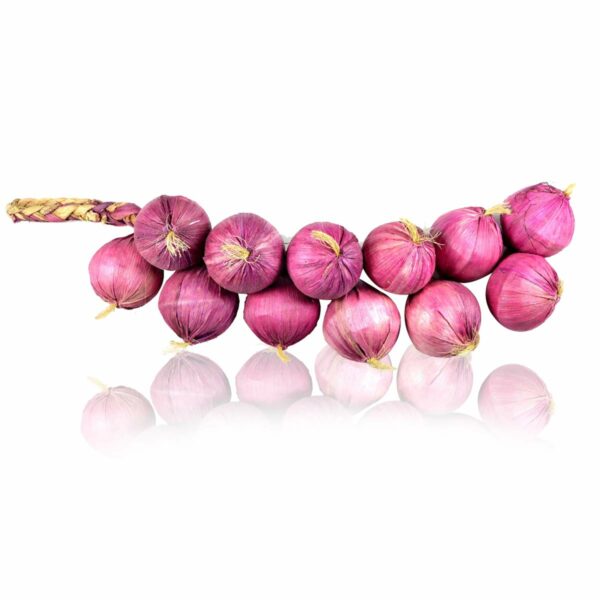 Artificial Onion for Home Decor - 470mm Foam Vegetable - Image 2
