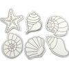 DIY Seashell Fridge Magnets Kit for Kids 8+ | Art & Craft Activity