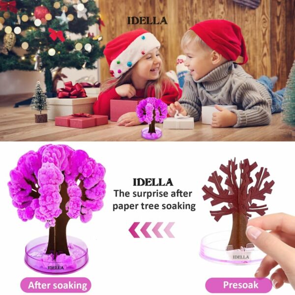 Sakura Magic Trees - Japanese Miniature Cherry Blossom Kit - Image 4