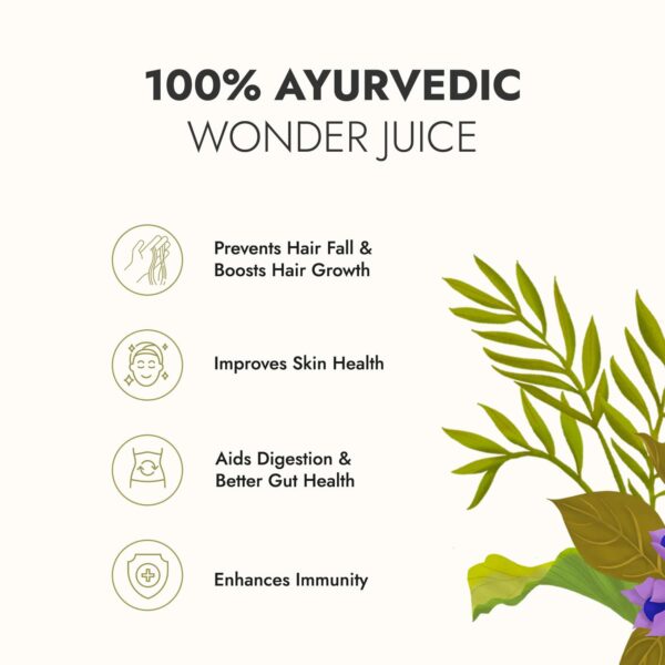 Kapiva Wild Amla Juice 1L - Natural Vitamin C for Hair & Skin - Image 4