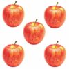 Pack of 5 Realistic Artificial Fruits for Decoration