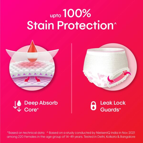 Large/Extra Large Panties for Heavy Flow - 10 Pack - Image 4