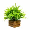 Artificial Bamboo Leaves in Wooden Pot - 17 cm Home & Office D?cor