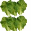 6pcs Artificial Green Lettuce Leaves - PVC Simulation Food