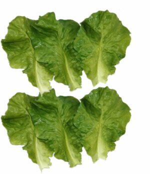 6pcs Artificial Green Lettuce Leaves - PVC Simulation Food