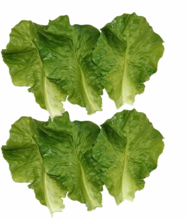 6pcs Artificial Green Lettuce Leaves - PVC Simulation Food