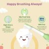 Baby Toothbrush Set of 2 for Infants (6m-36m) - BPA Free