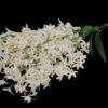 White Artificial Lily Flower Bunch for Home Decoration - 60cm