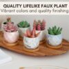 Pack of 6 Artificial Succulent Plants for Home Decor - Multi Size